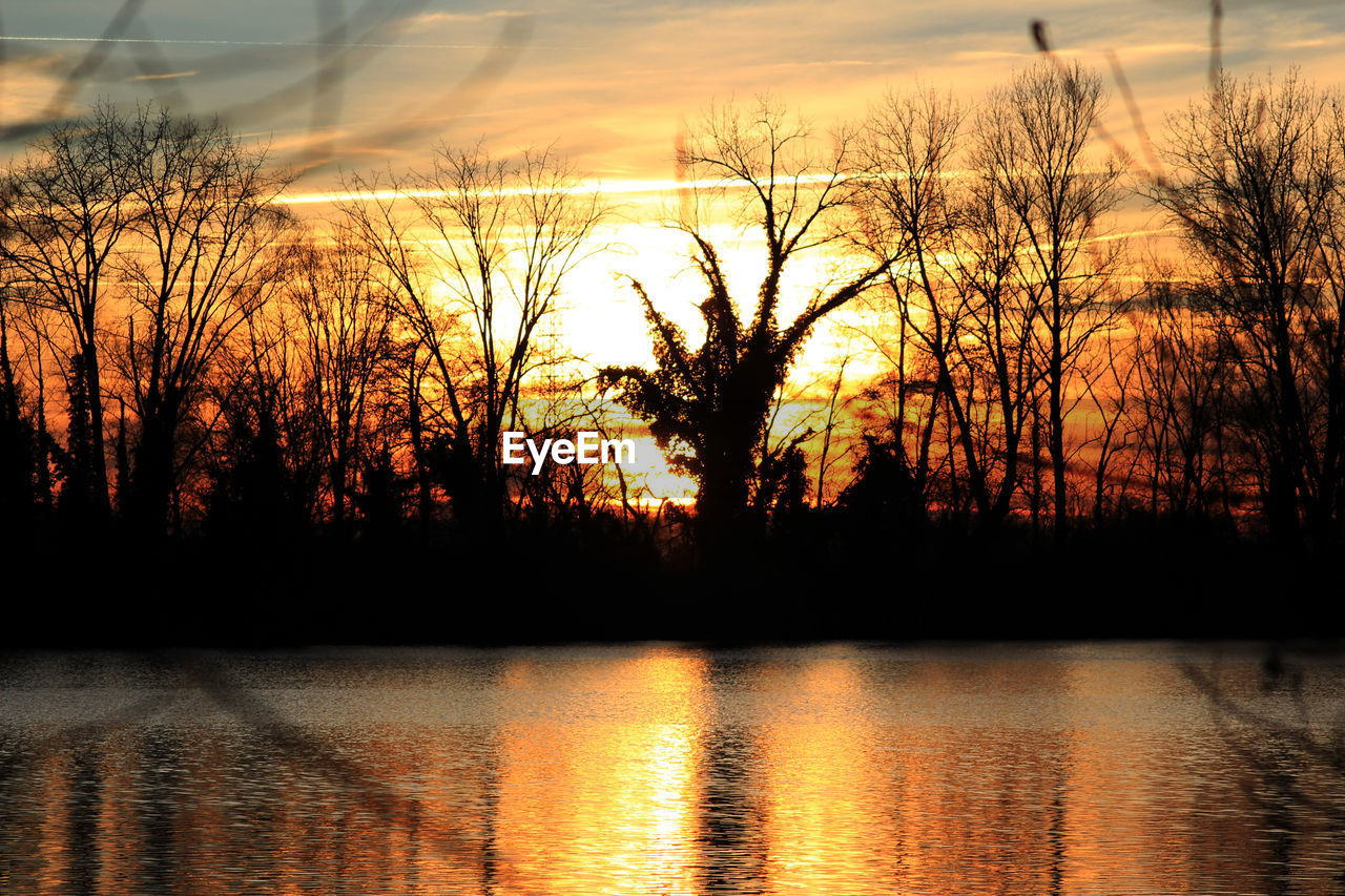 SILHOUETTE TREES BY LAKE AGAINST DRAMATIC SKY DURING SUNSET