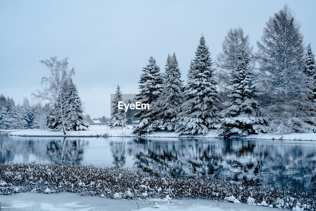 Winter nature in estonia