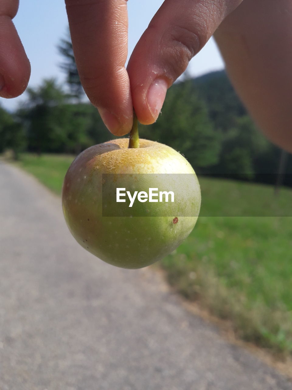 CLOSE-UP OF PERSON HAND HOLDING APPLE