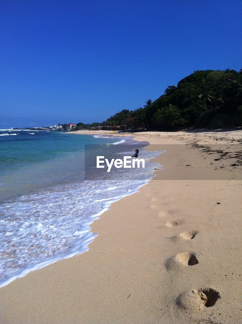 Surf on shore at beach