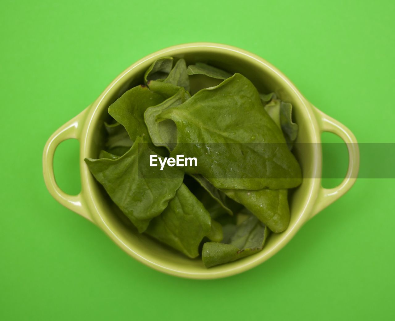 High angle view of spinach in bowl over green background