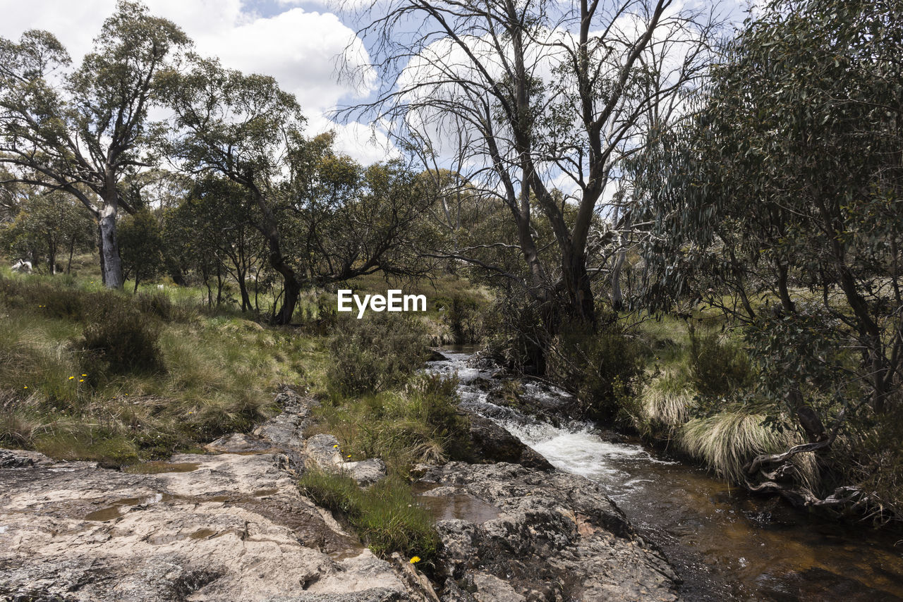 VIEW OF STREAM FLOWING THROUGH ROCKS