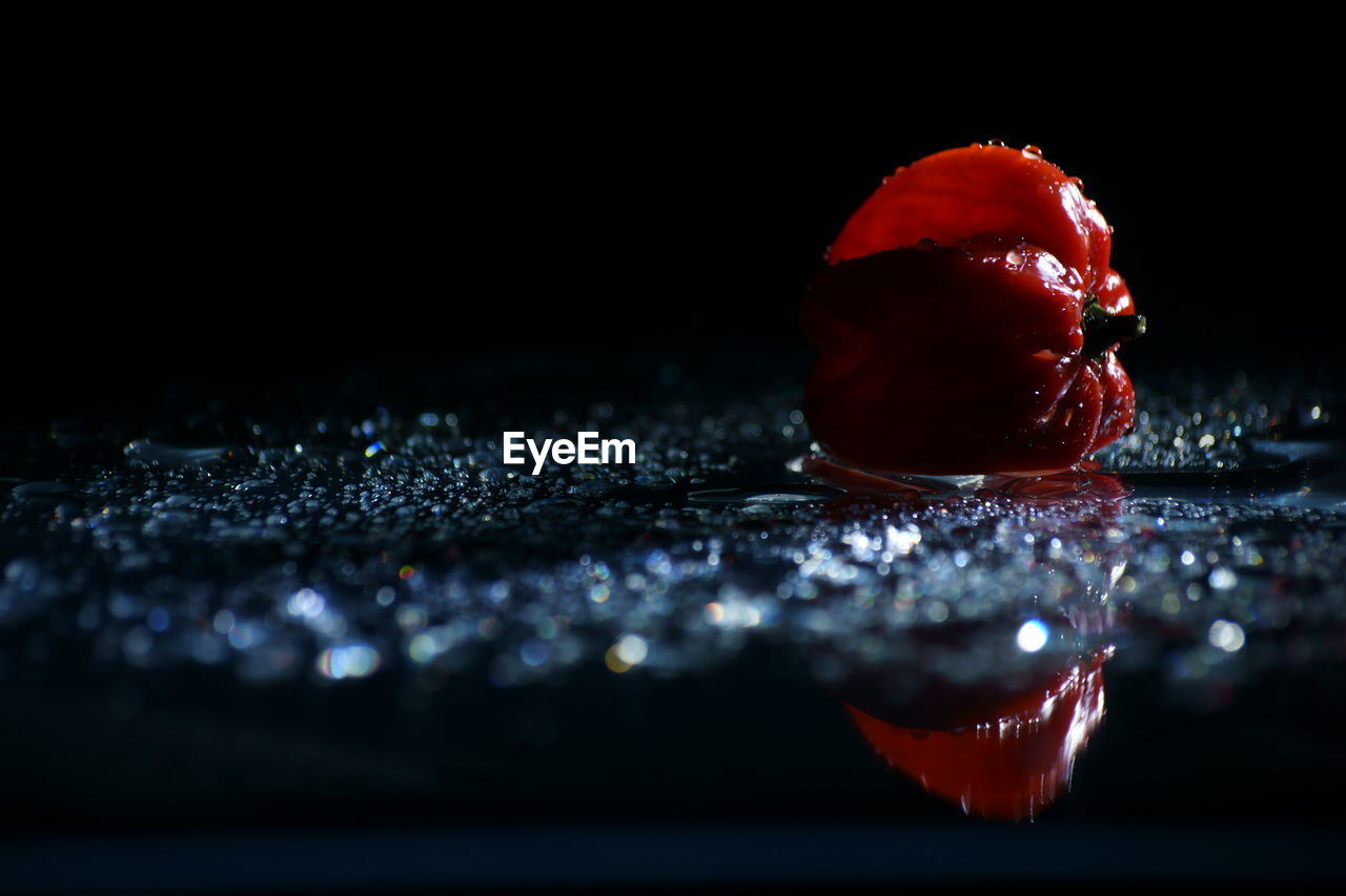 CLOSE-UP OF WATER DROPS ON BLACK BACKGROUND