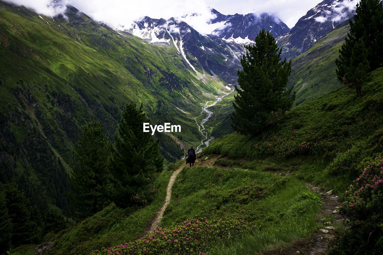 Scenic view of landscape and mountains