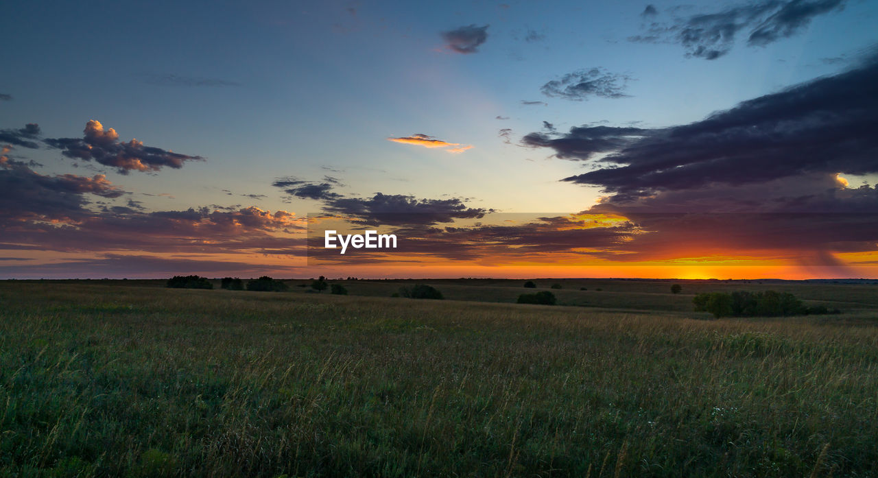 SCENIC VIEW OF FIELD AGAINST SKY AT SUNSET