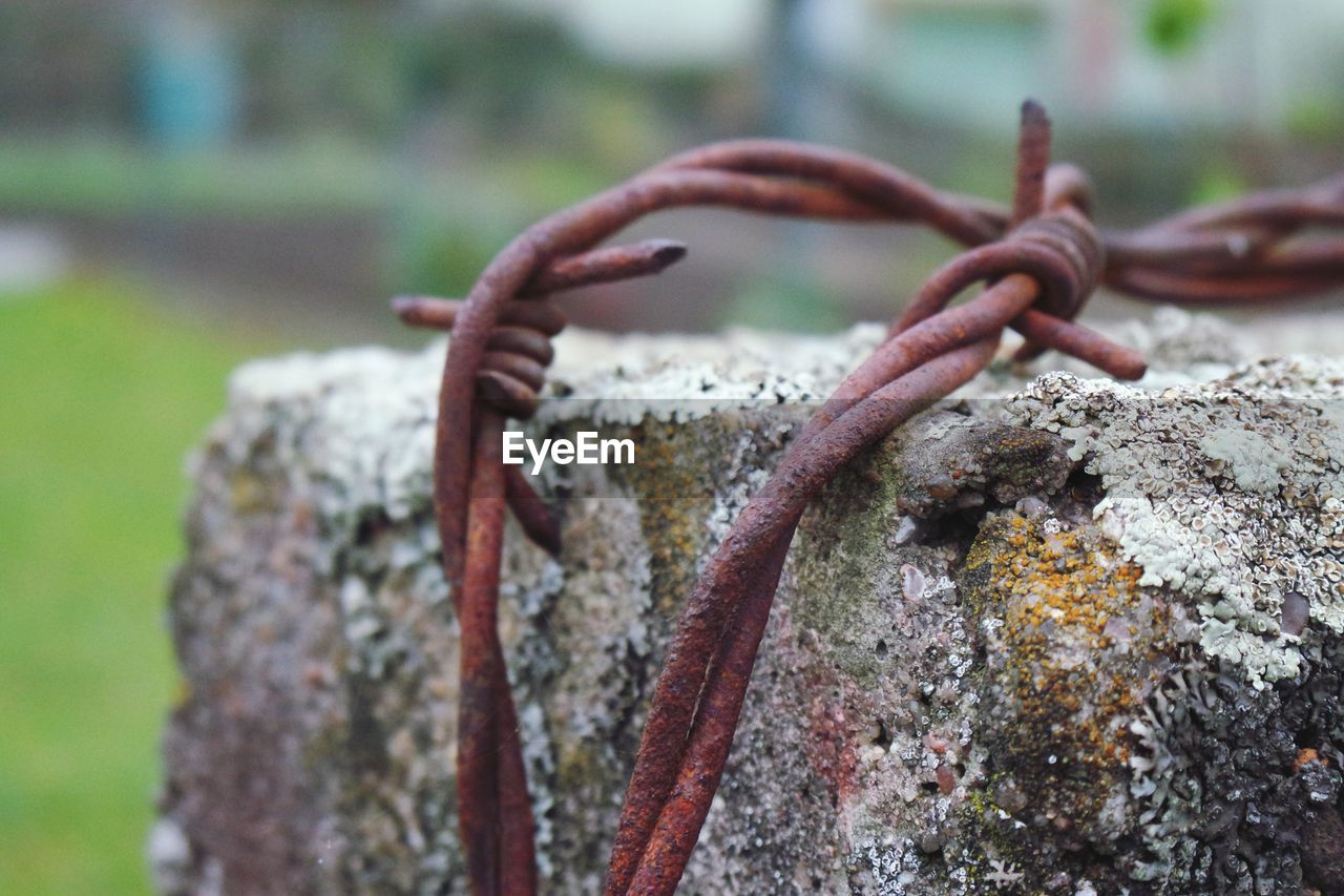 Close-up of rusty barb wire outdoors