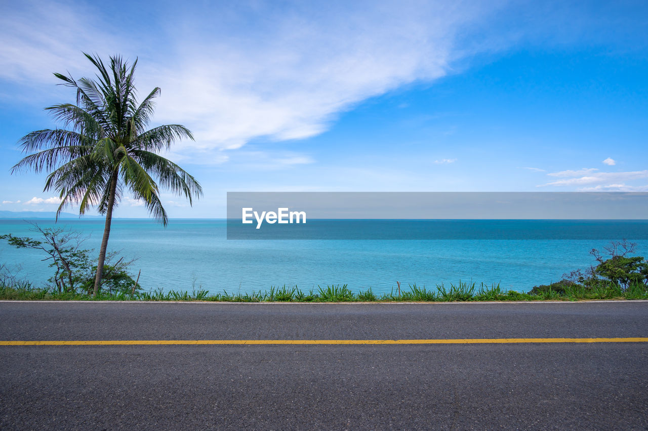 PALM TREES BY SEA AGAINST SKY