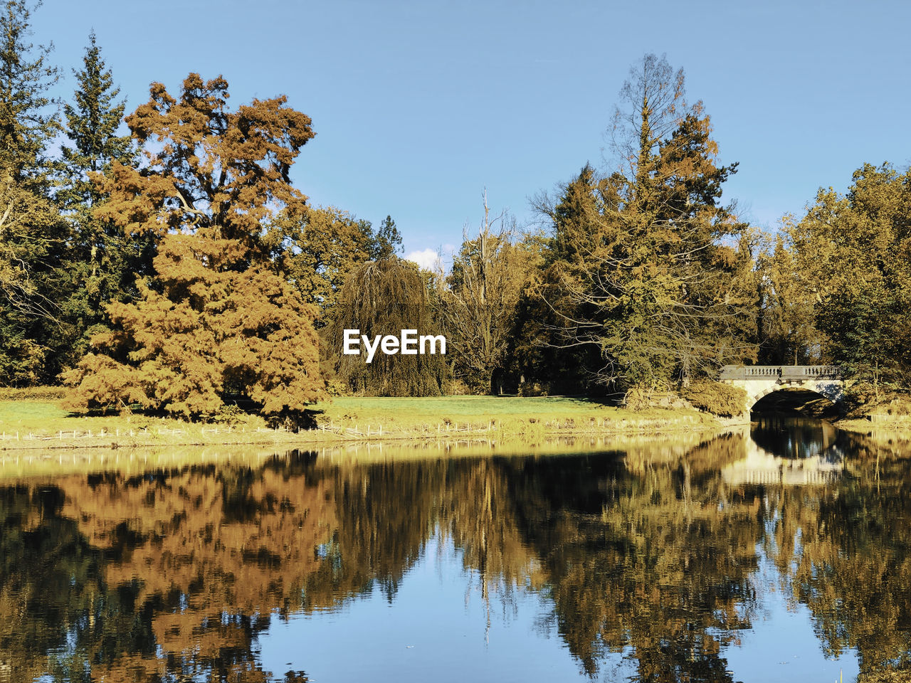 Reflection of trees in lake against sky