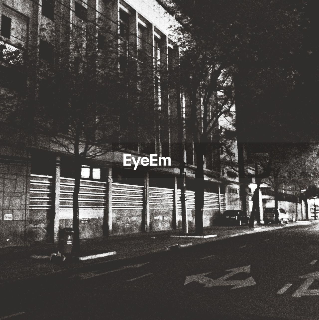 Road markings on street at night