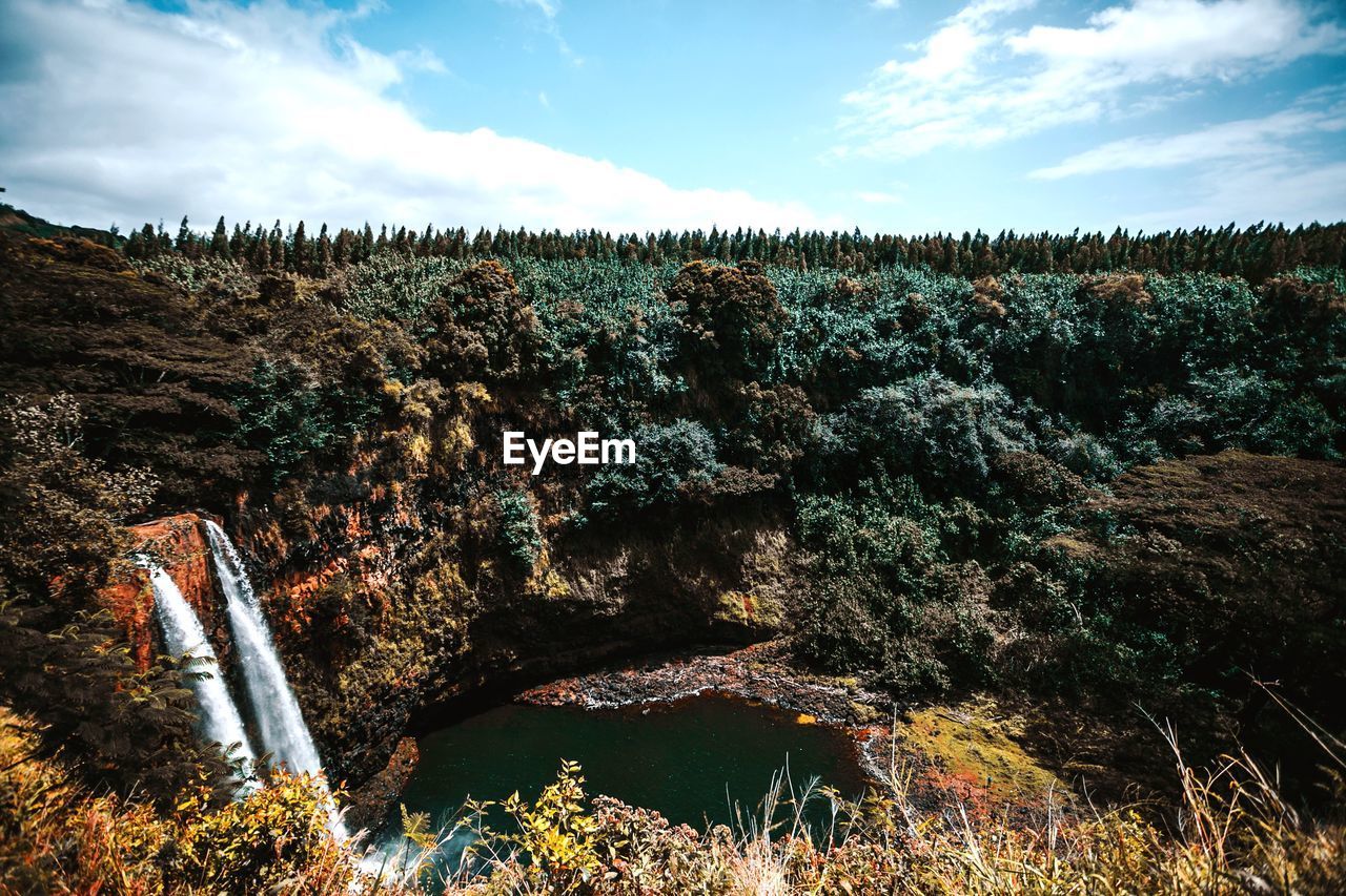 Scenic view of forest against sky