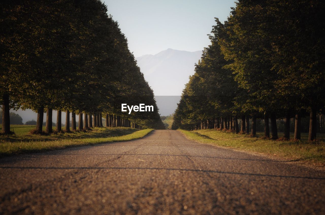 EMPTY ROAD AMIDST TREES AGAINST SKY