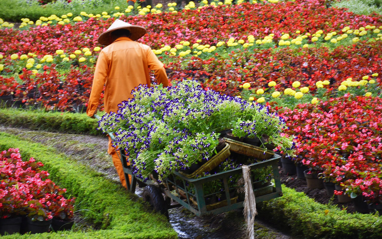 Rear view of woman working on field