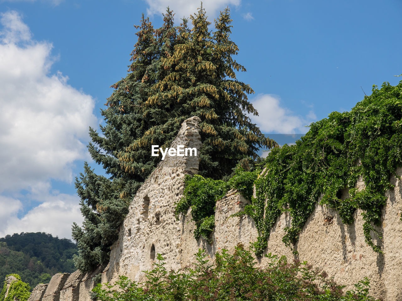 Dürnstein in austria