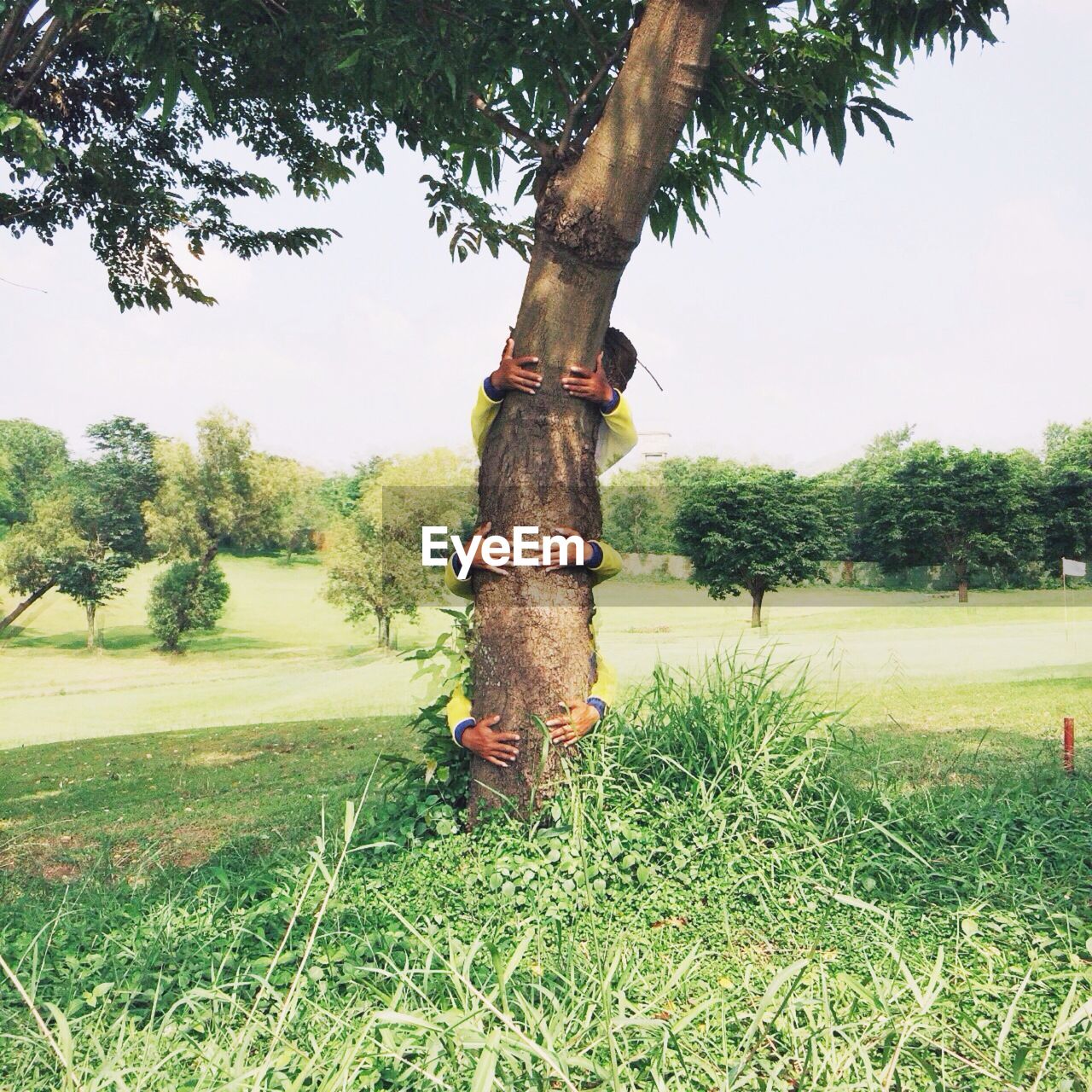 People hugging tree on grassy field against clear sky