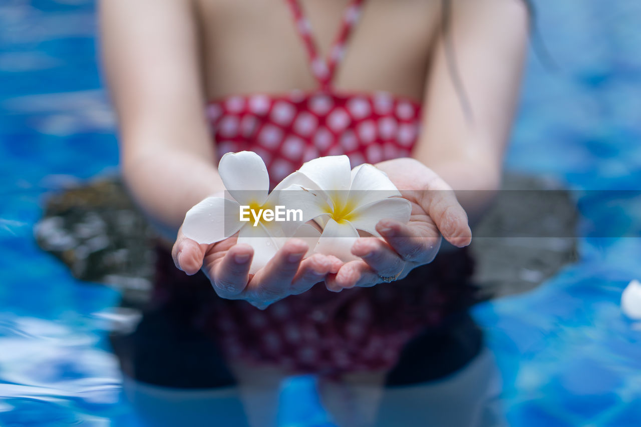 Midsection of woman holding frangipanis in swimming pool