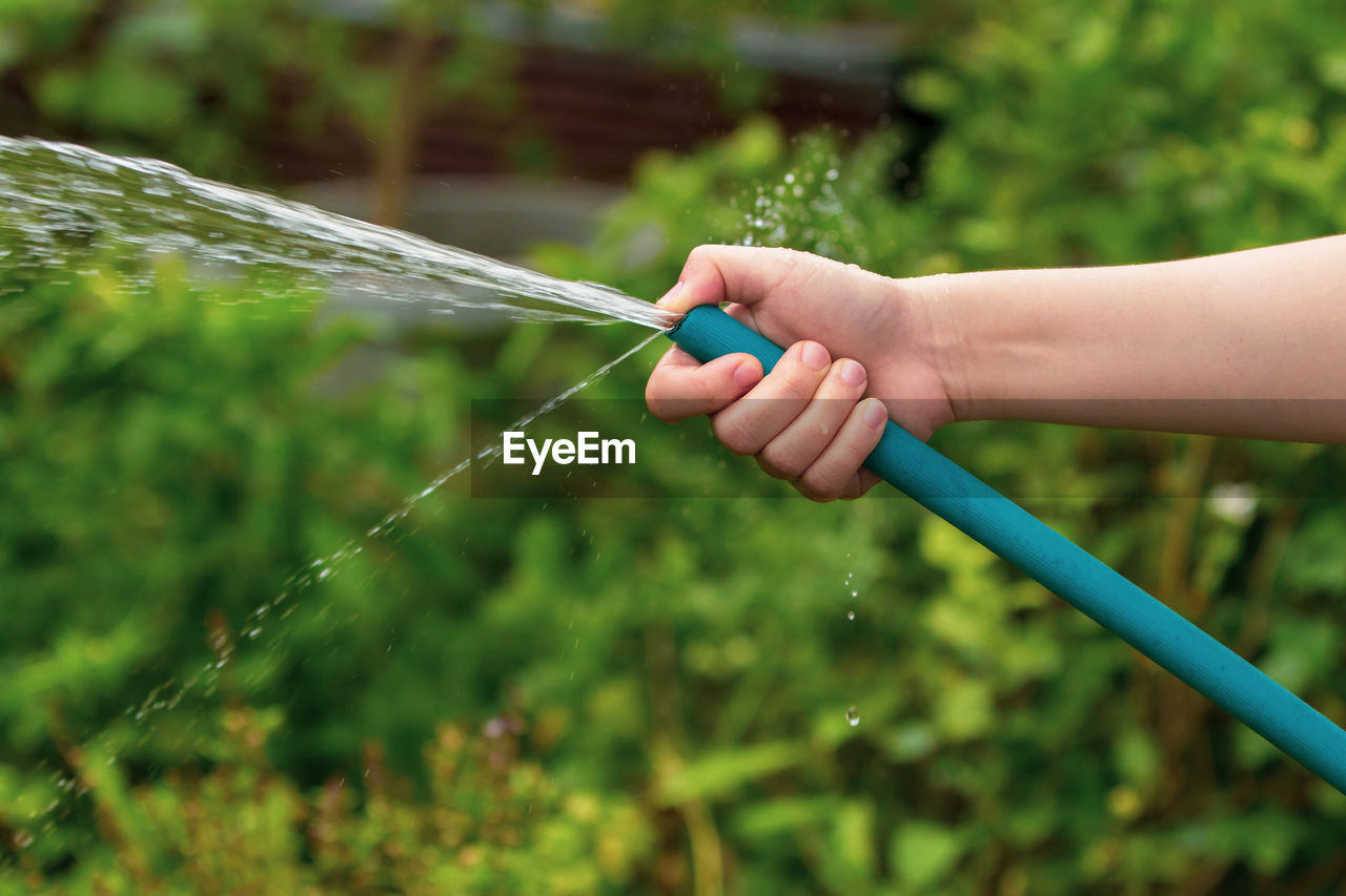 Person spraying water from garden hose at back yard