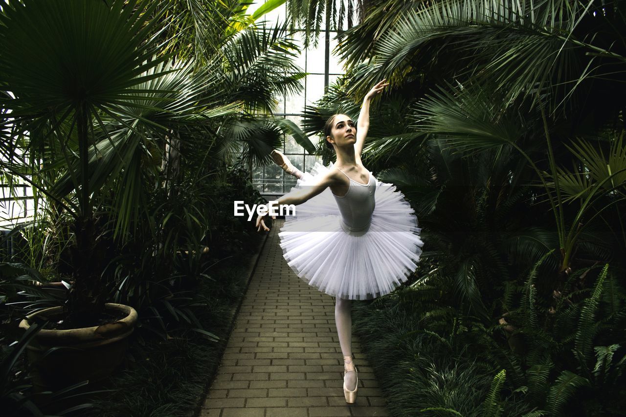 Ballet dancer dancing amidst palm trees