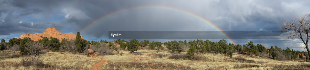 Panoramic view of rainbow over trees against sky