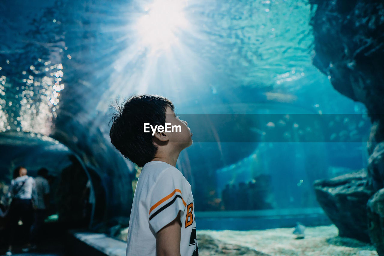 Rear view of boy looking at fish in aquarium