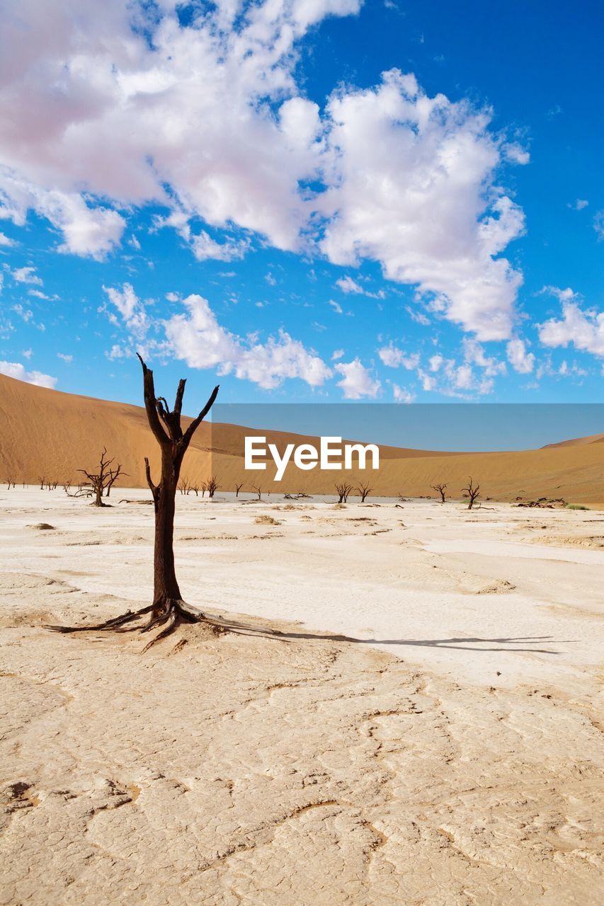 Scenic view of namib desert