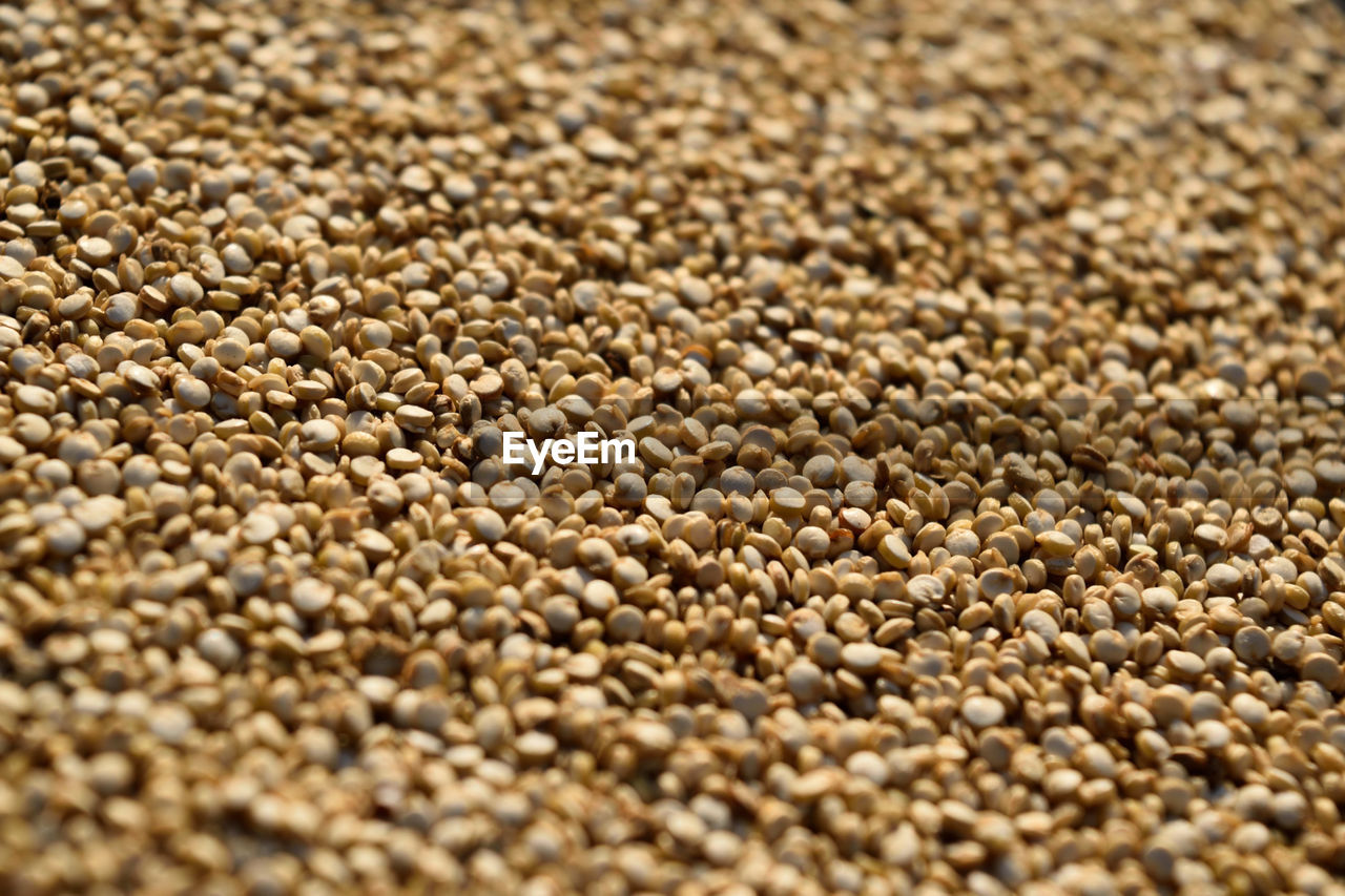 Full frame shot of quinoa beans