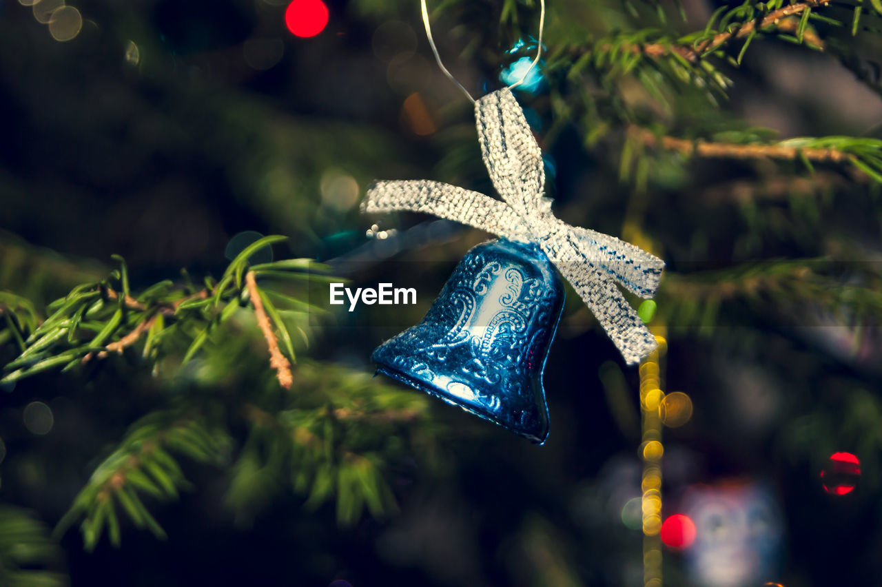 CLOSE-UP OF CHRISTMAS DECORATION HANGING ON PLANT