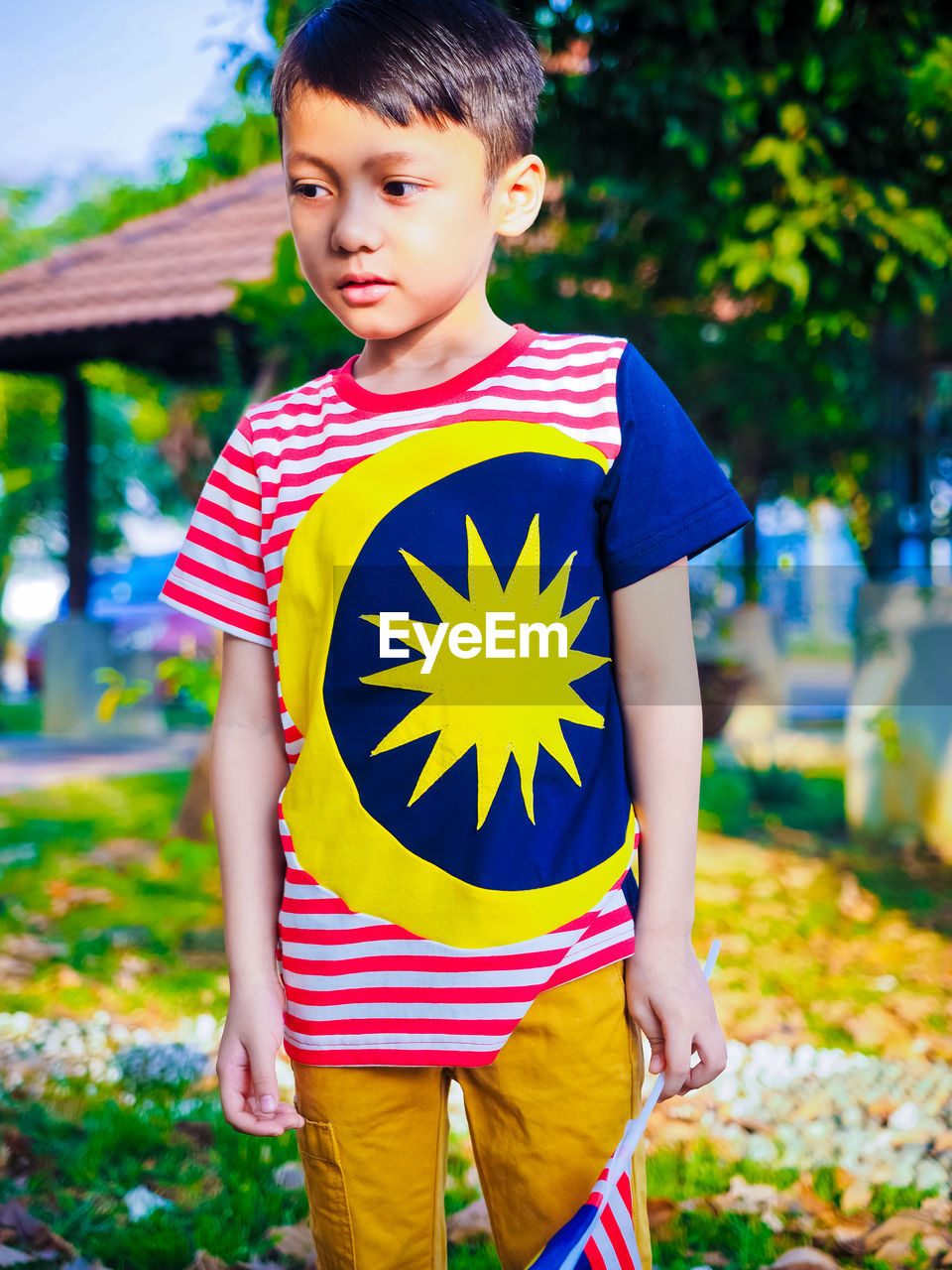Little boy wearing a symbolique of malaysian flag concept t shirt 