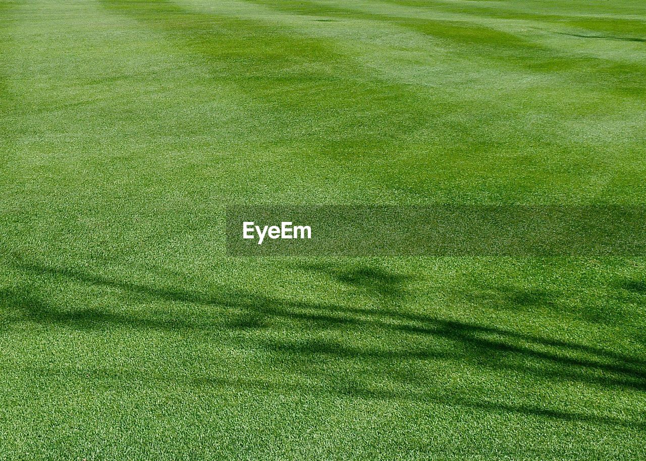 FULL FRAME SHOT OF GREEN GRASS WITH YELLOW BACKGROUND