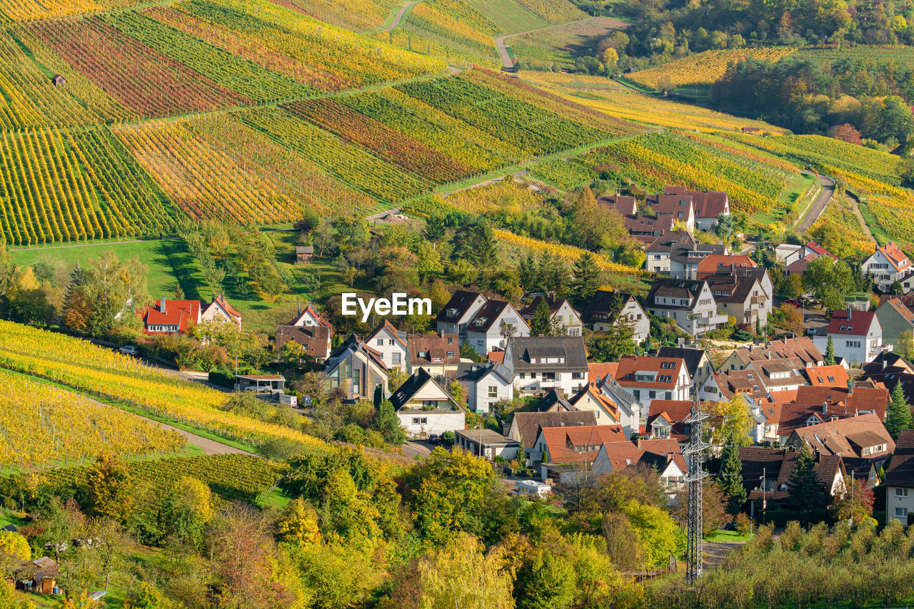 Germany, baden-wuerttemberg, stuttgart, aerial view of vineyards at rotenberg.