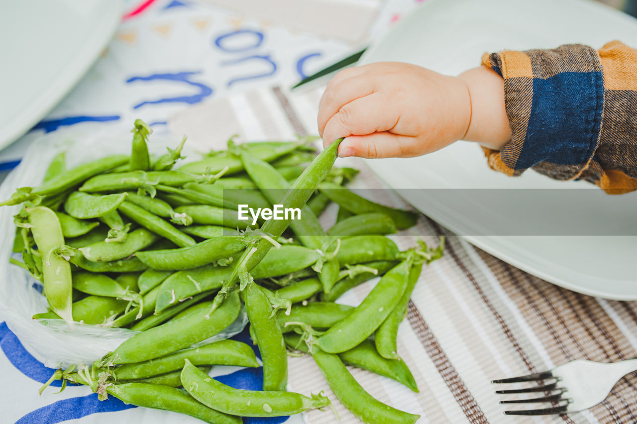 Children small hand reaches for handful of fresh green beautiful peas. healthy snack. harvesting