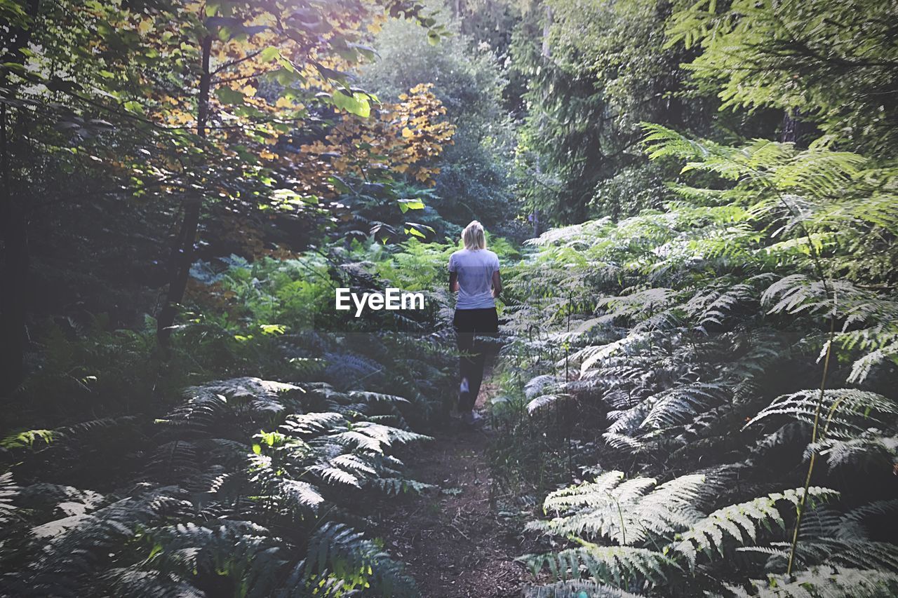 Rear view of woman walking amidst trees at forest