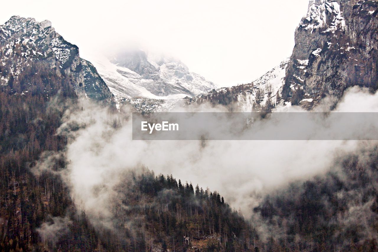 View of foggy mountain with trees