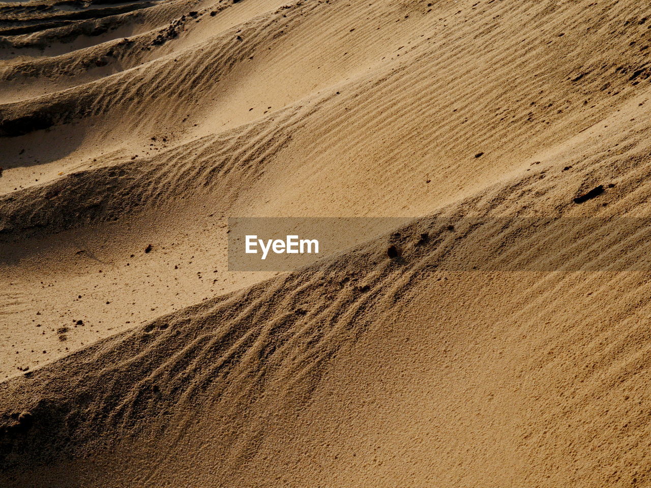 Sunlight on sand dune