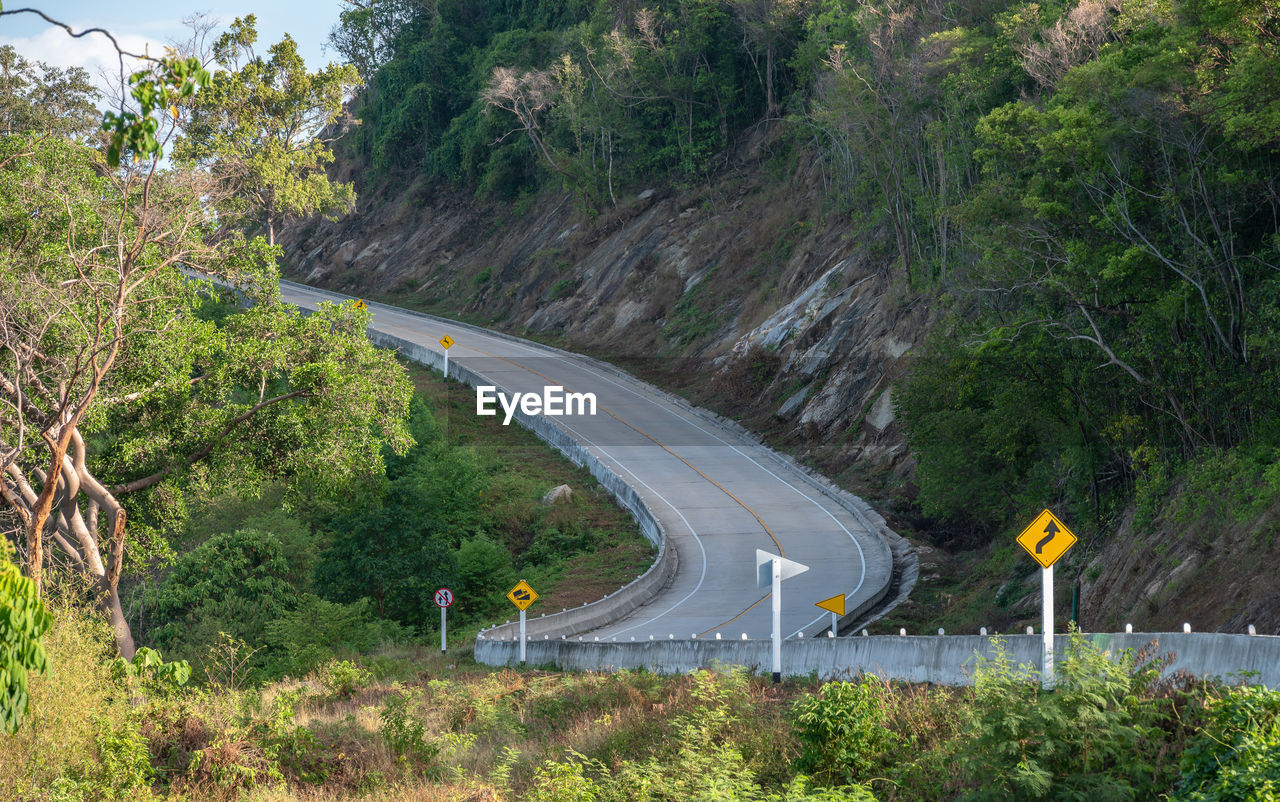 ROAD PASSING BY TREES