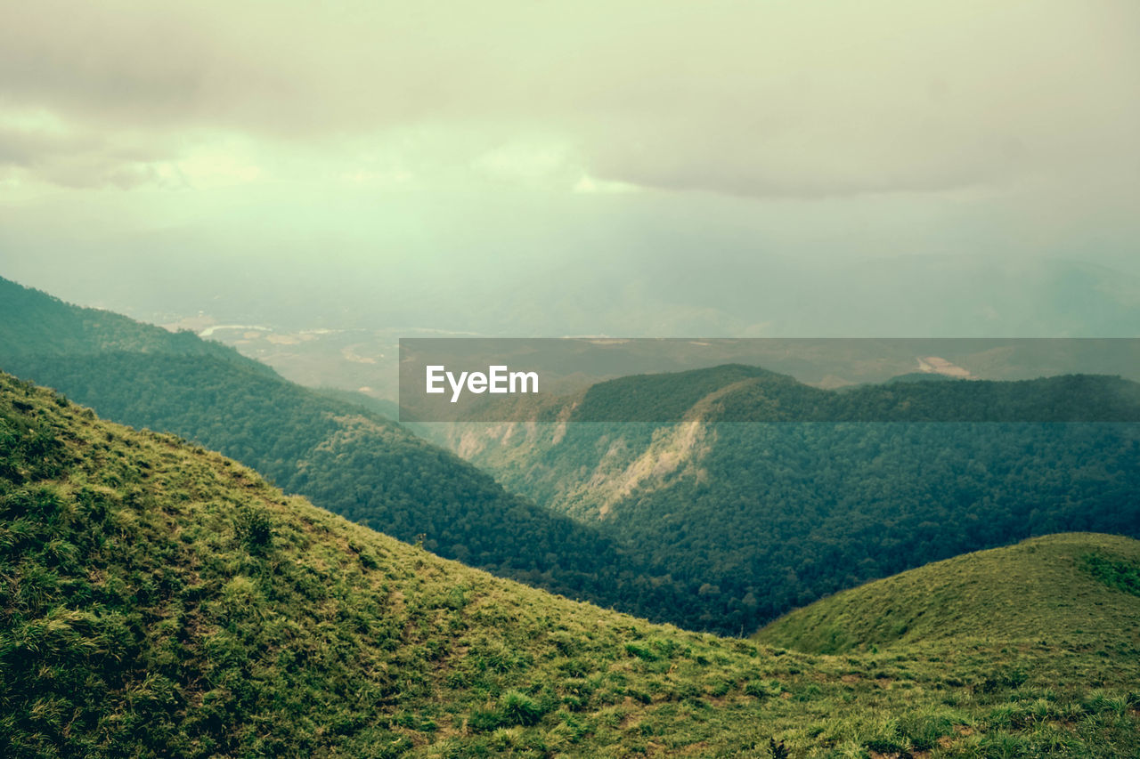 nature, environment, scenics - nature, landscape, mountain, beauty in nature, cloud, land, sky, tranquility, plant, tranquil scene, morning, mountain range, fog, forest, green, no people, tree, rural scene, non-urban scene, valley, outdoors, idyllic, lush foliage, foliage, day, rural area, field, high angle view, overcast, sunlight, travel, tea crop, agriculture, wilderness, plateau, travel destinations, social issues, remote