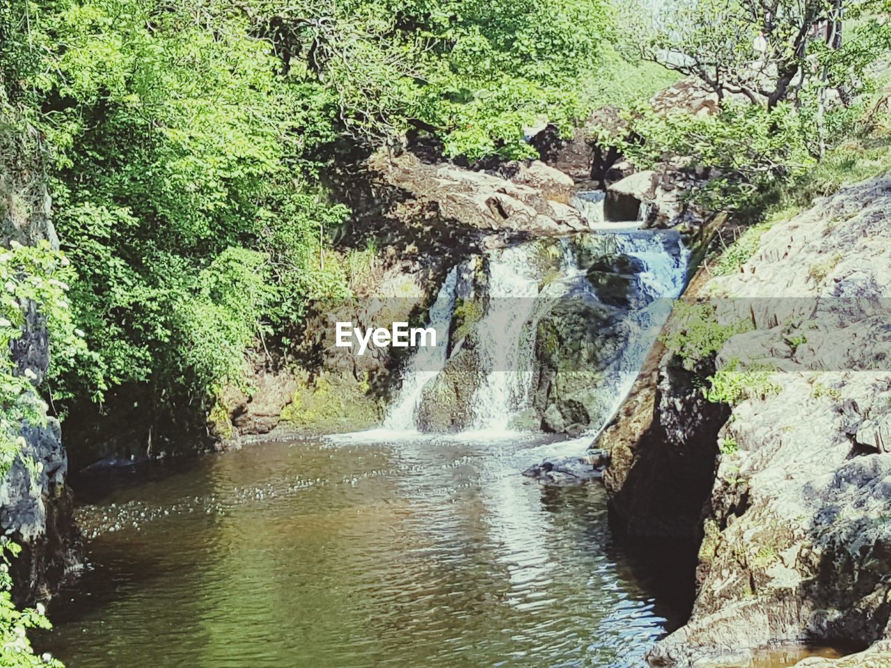 WATERFALL IN FOREST