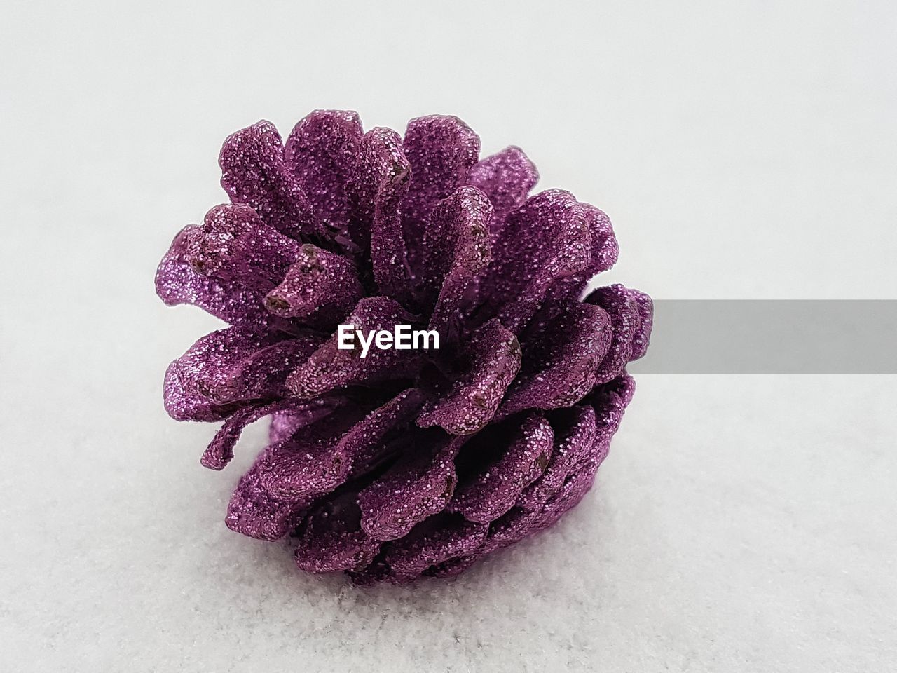 Close-up of purple pine cone on white table