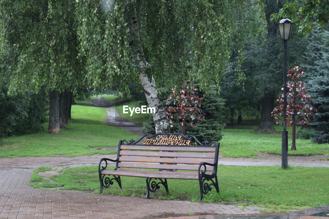 Bench in park