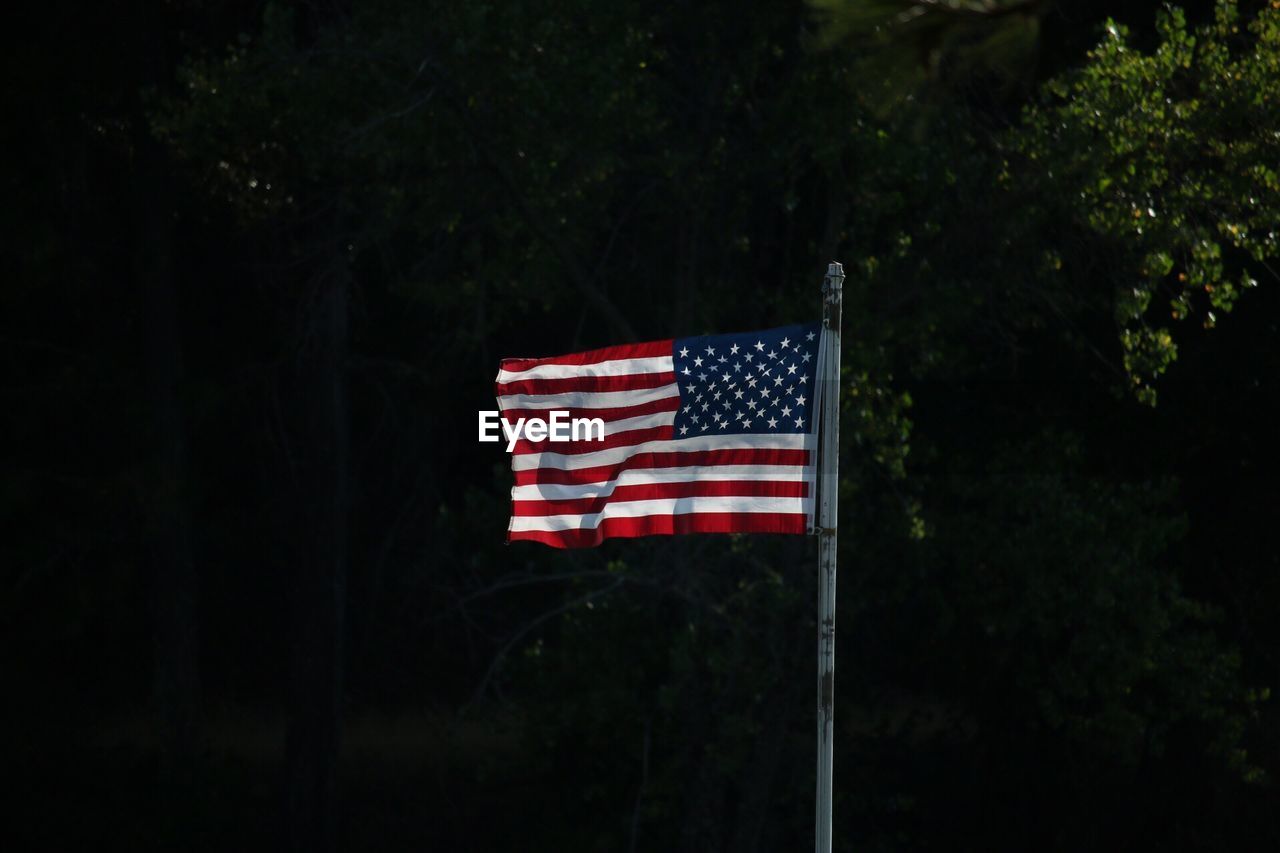 Close-up of american flag against tree