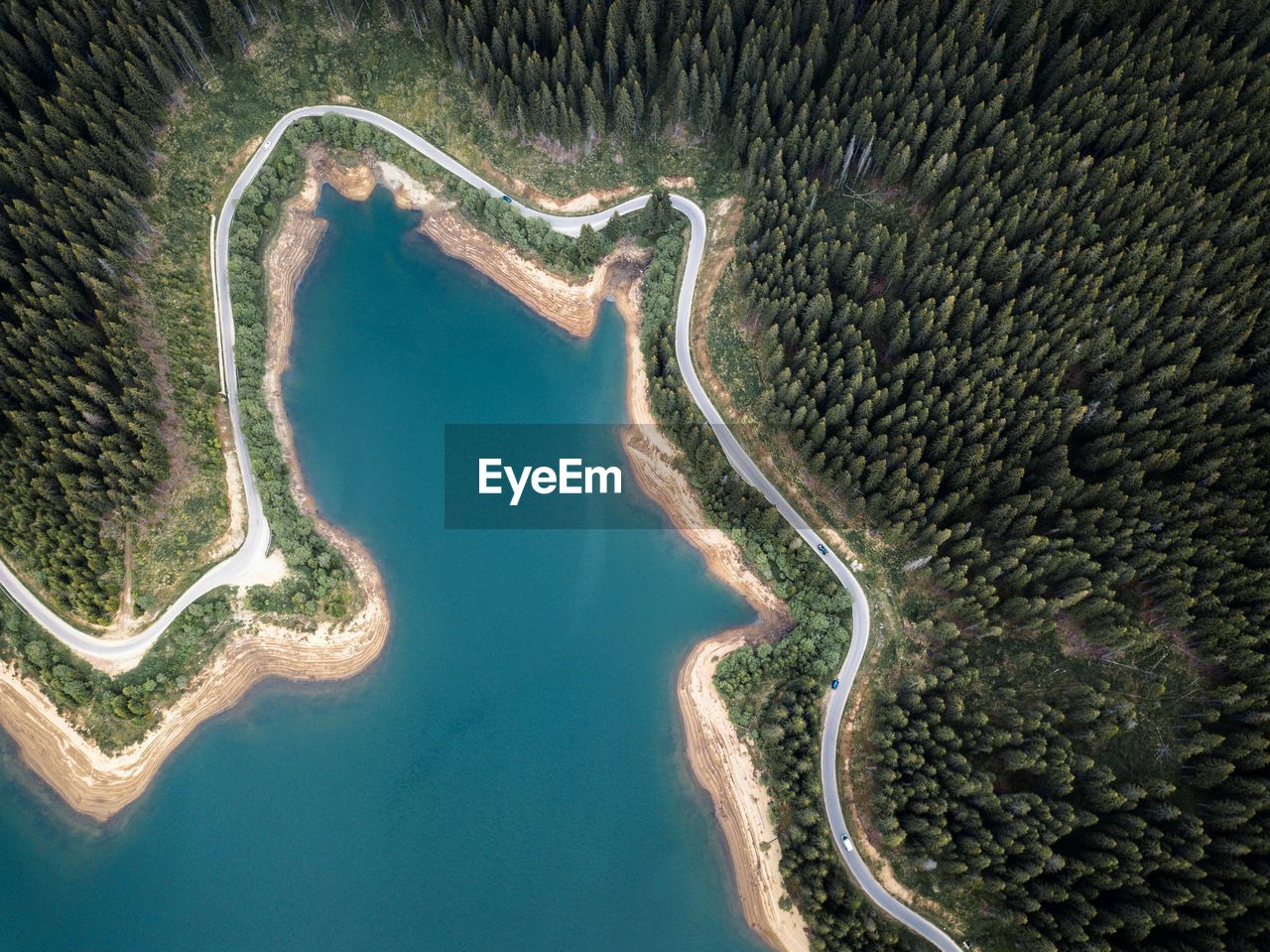 High angle view of lake and trees