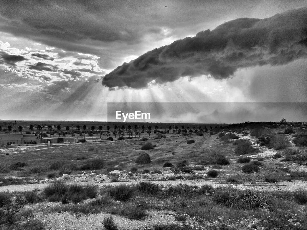 PANORAMIC VIEW OF LAND AGAINST SKY