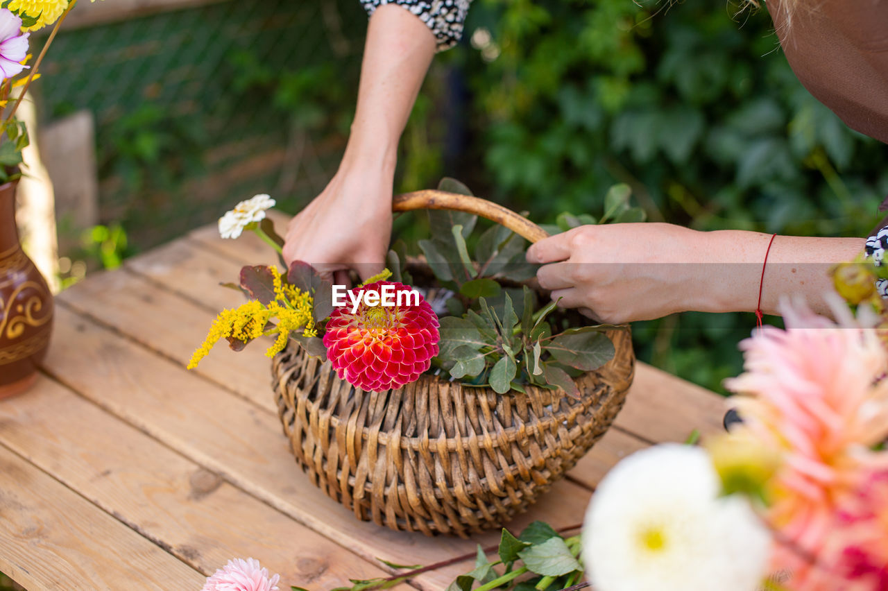 The florist makes a bouquet in a basket of dahlias and asters