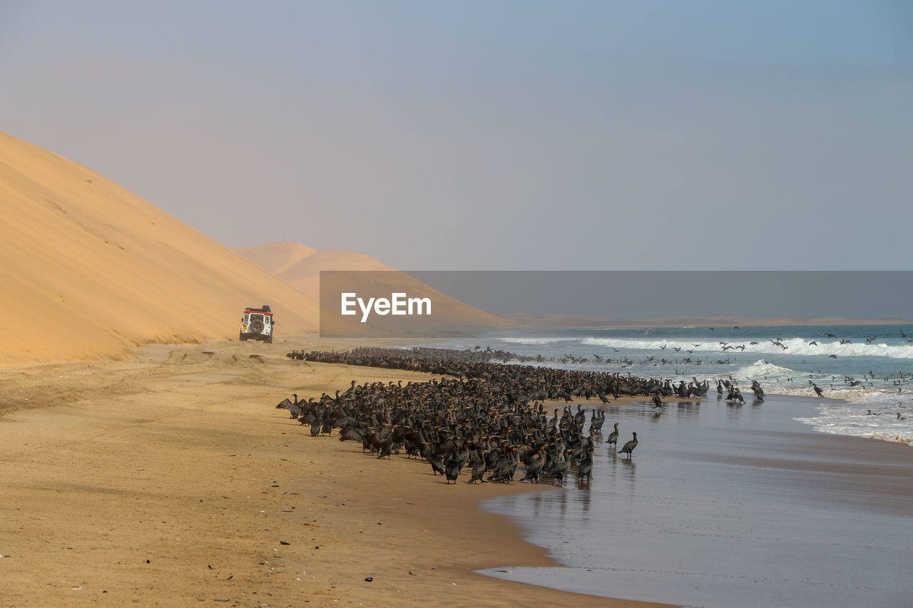 4x4 trip on the skeleton coast in namibia