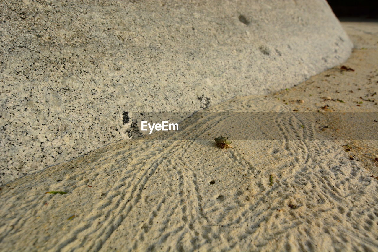 SAND DUNE ON BEACH