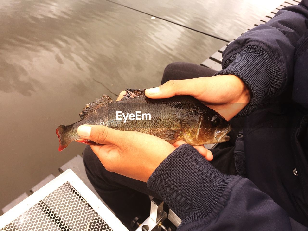 Cropped hands of person holding fish against lake