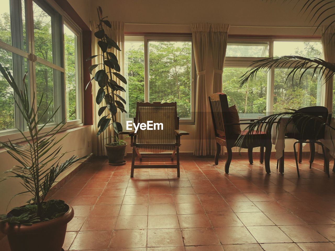 Chairs and potted plants on tiled floor at home