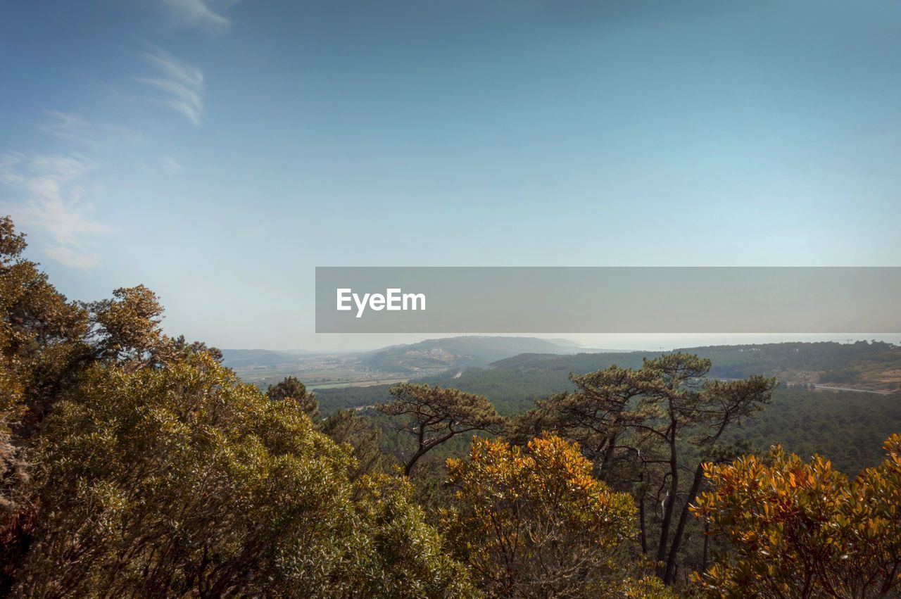 Scenic view of landscape against sky during autumn