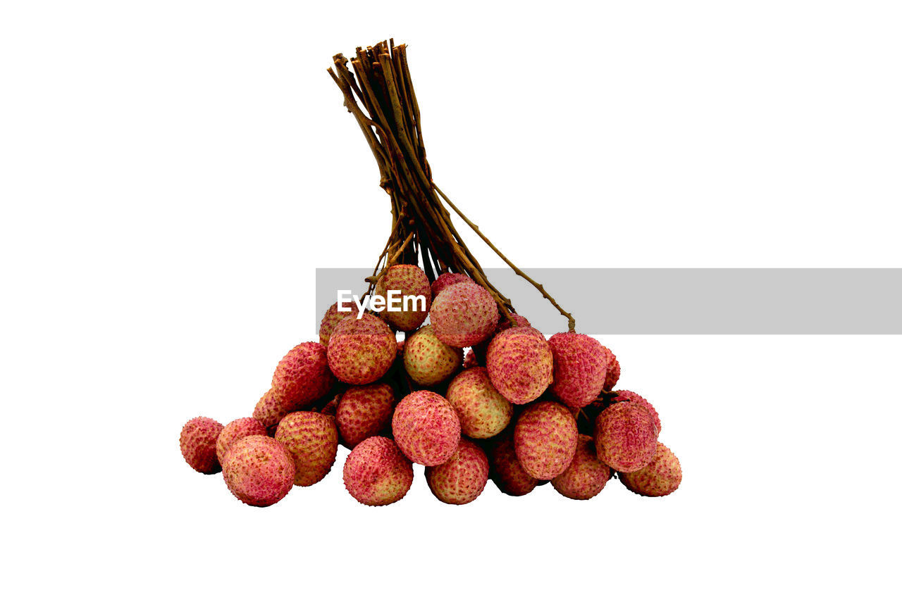 food and drink, food, fruit, healthy eating, produce, plant, white background, studio shot, wellbeing, freshness, cut out, no people, red, berry, indoors, still life, close-up, branch, lychee