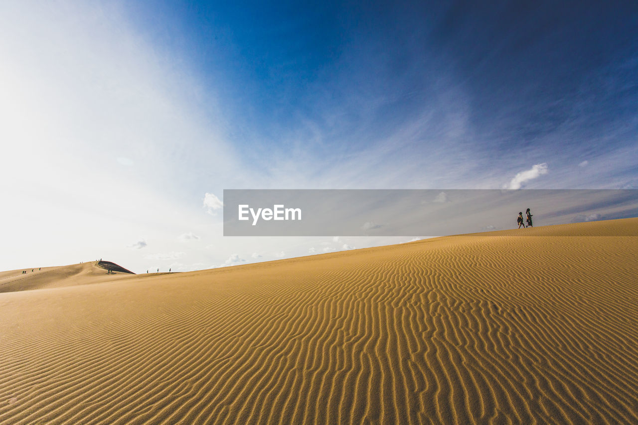 SCENIC VIEW OF SAND DUNE AGAINST SKY