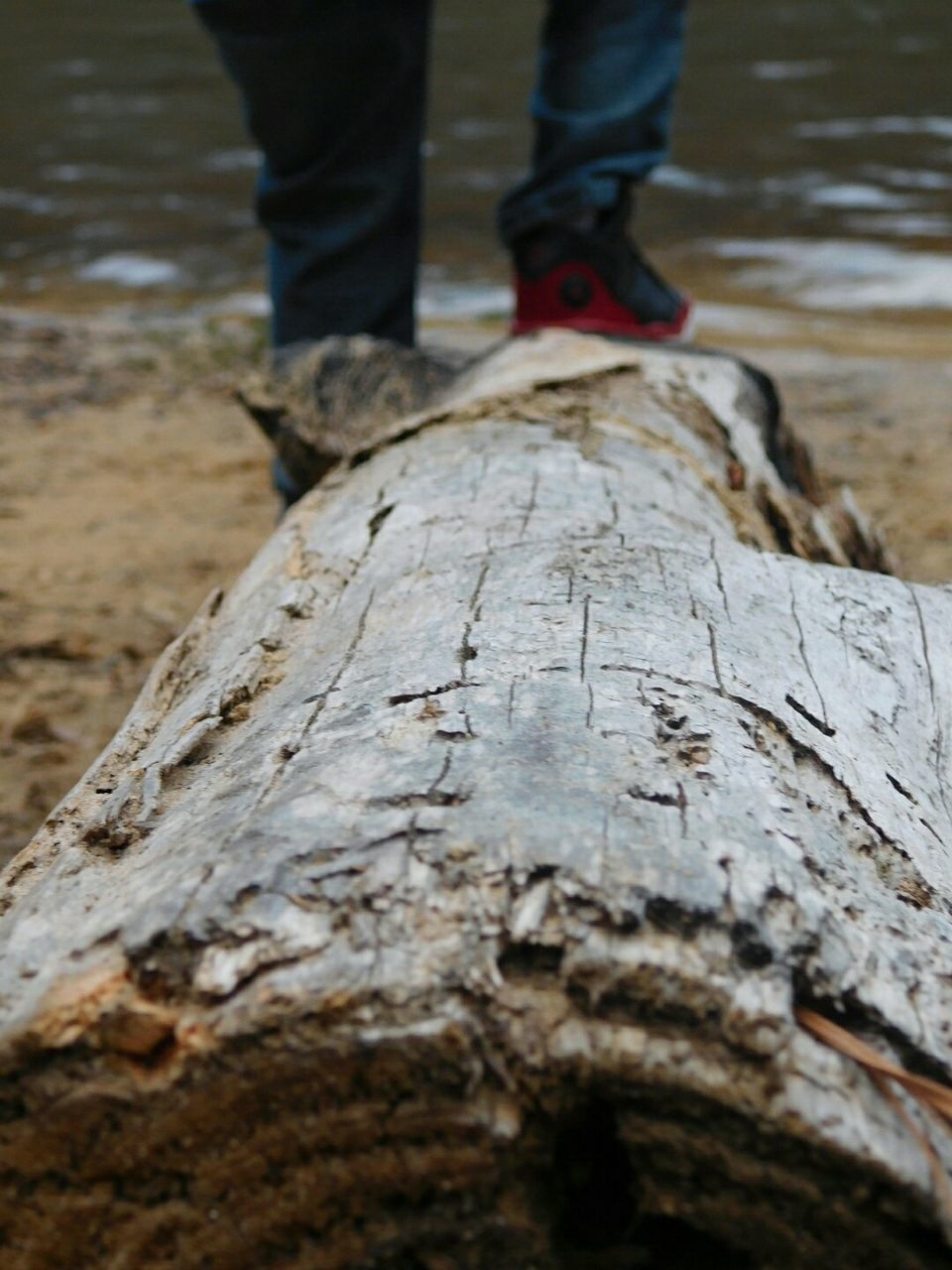 LOW SECTION OF MAN WITH LOG ON WOOD